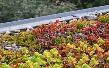 the cost of Fromefield green roof installation