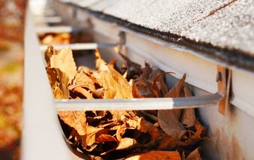 Fromefield gutter cleaning companies