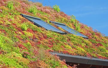 Fromefield living roof systems