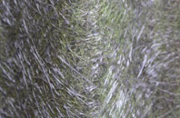 Fromefield fibreglass roof work